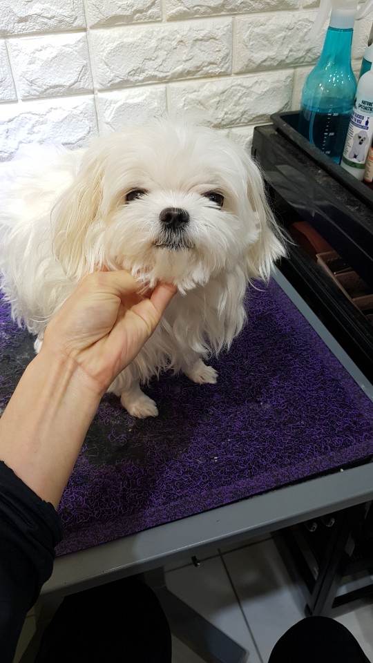 문정미용타운 이미지