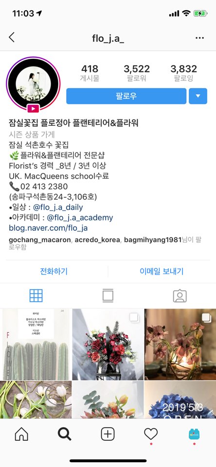 플로정아 이미지