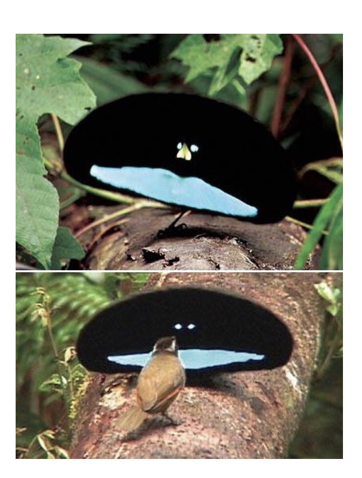 당가원 이미지