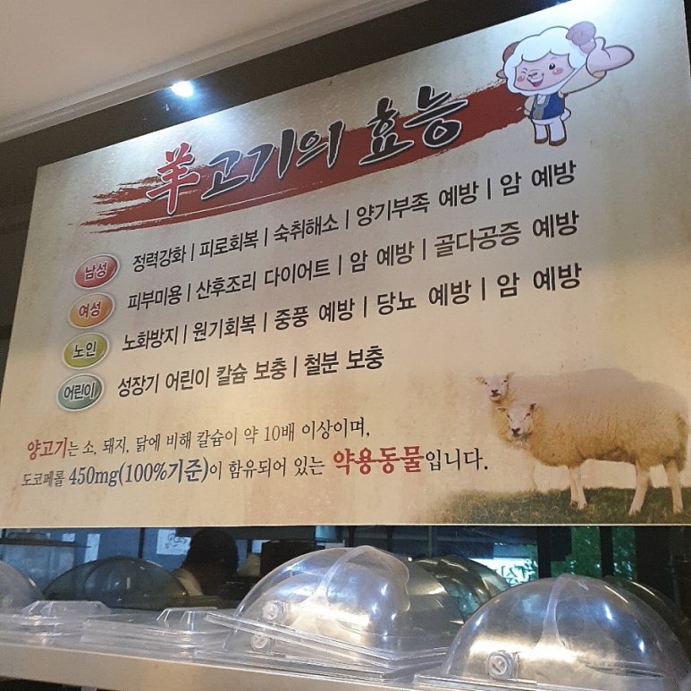 양고기동아리 이미지