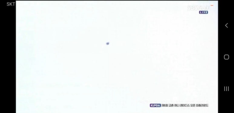 허니골프 이미지