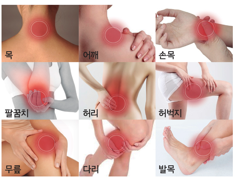 (주)뉴라이프코리아 이미지