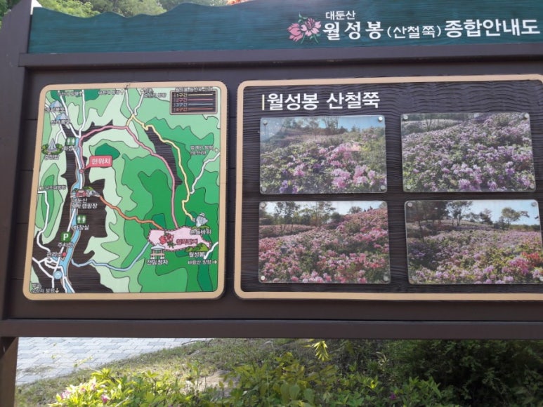 대둔산힐링센터 이미지