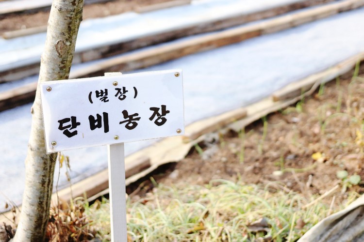 단비농원 이미지