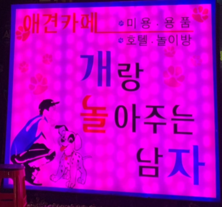 개랑 놀아주는 남자 이미지