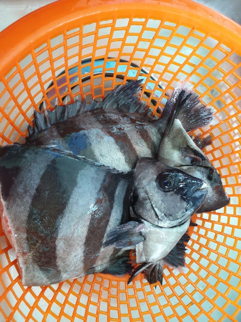 탐진수산 이미지