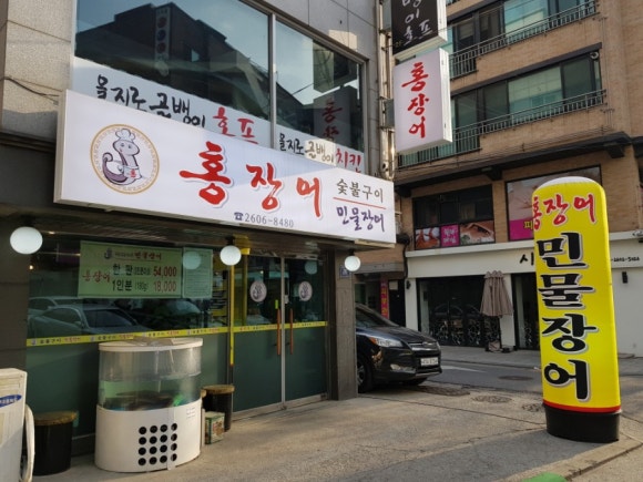 홍장어 이미지