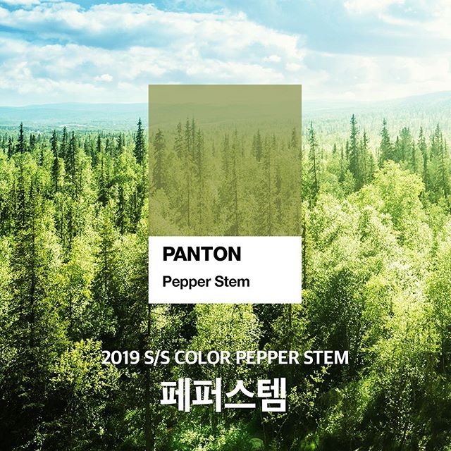 이철헤어커커도청점 이미지
