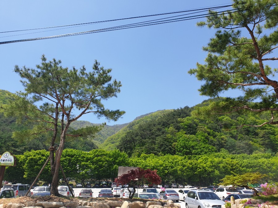 다온정숯불양념석쇠구이 이미지