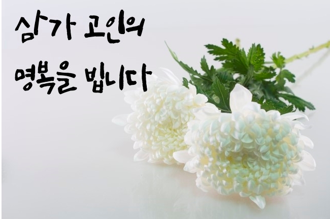하늘쉼터장례서비스 이미지