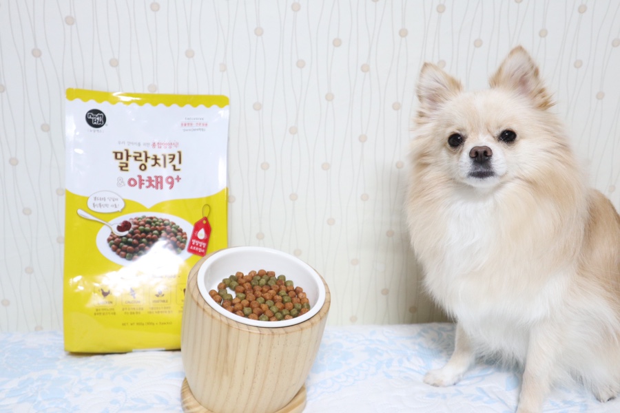 소프트치킨 이미지