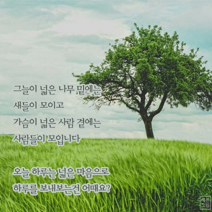 요릿집 이미지