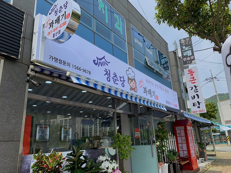 청춘당꽈배기 이미지