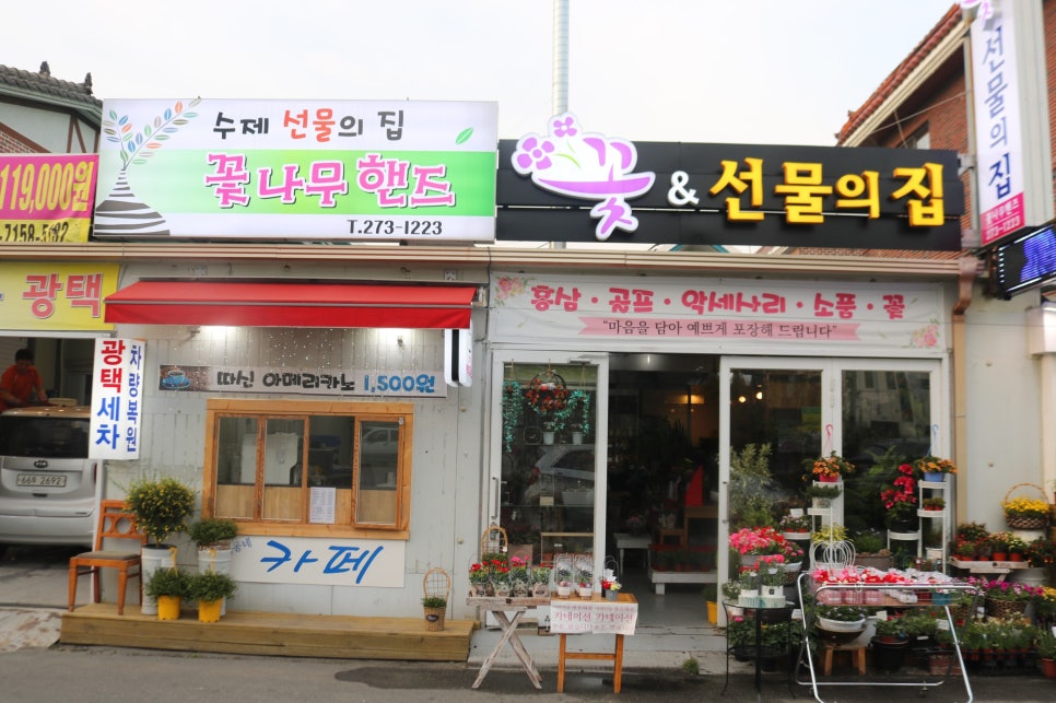 꽃나무핸즈 이미지