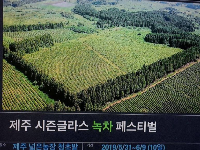 시즌글라스 이미지
