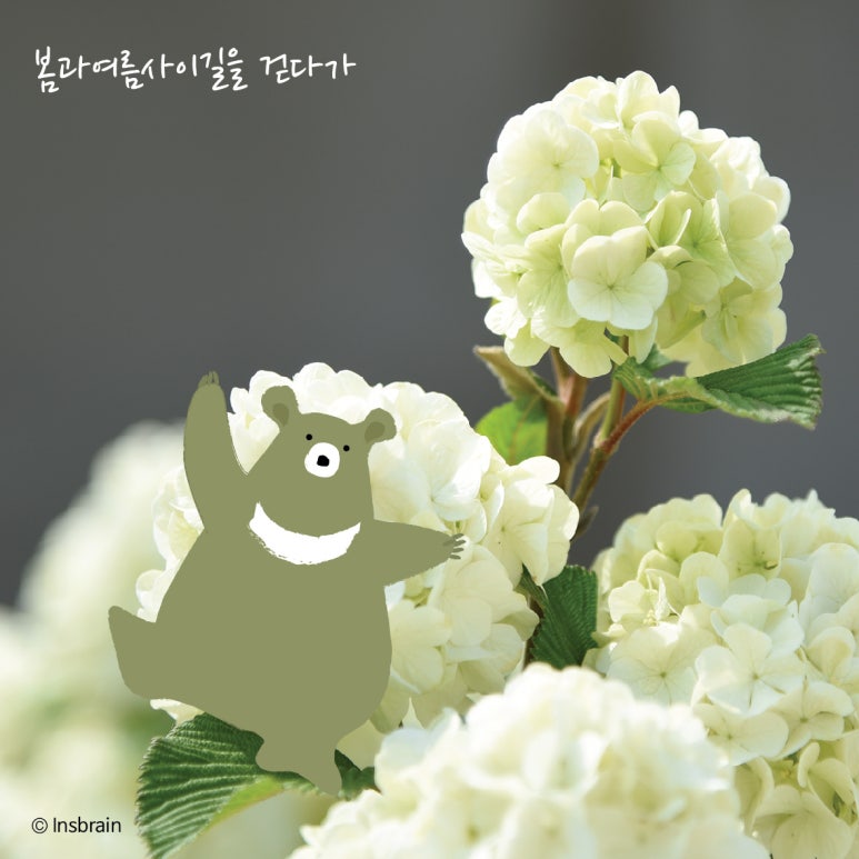인스브레인 이미지
