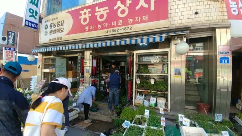 송화상사 이미지