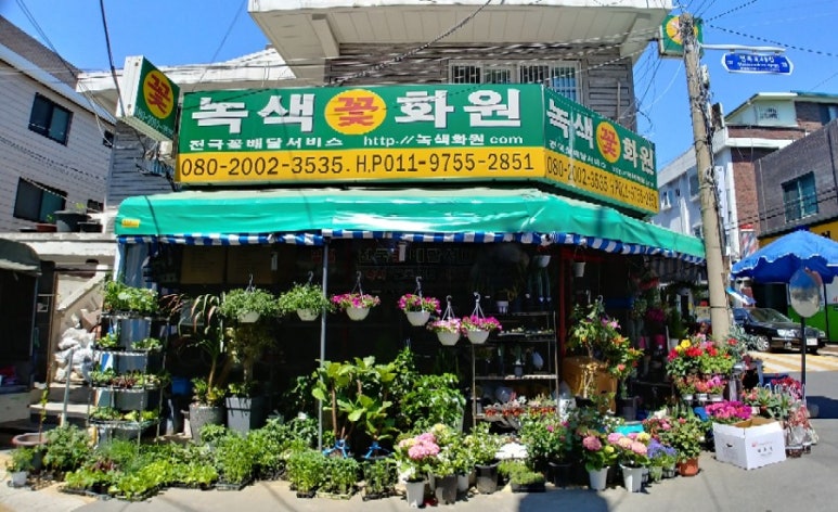 녹색꽃화원 이미지