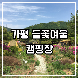 들꽃여울캠핑장 이미지