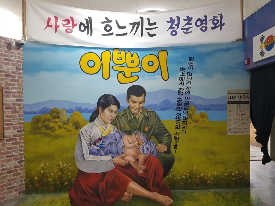 코스모수선 이미지