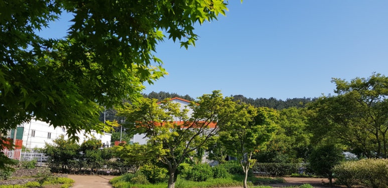 원경농원 이미지
