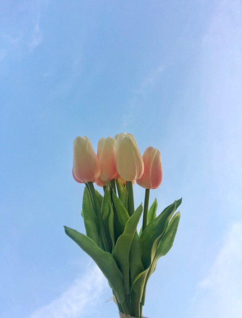 모두의카페 이미지