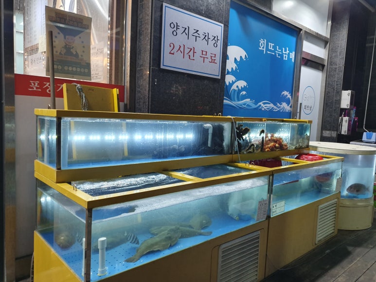 회뜨는 남매 이미지