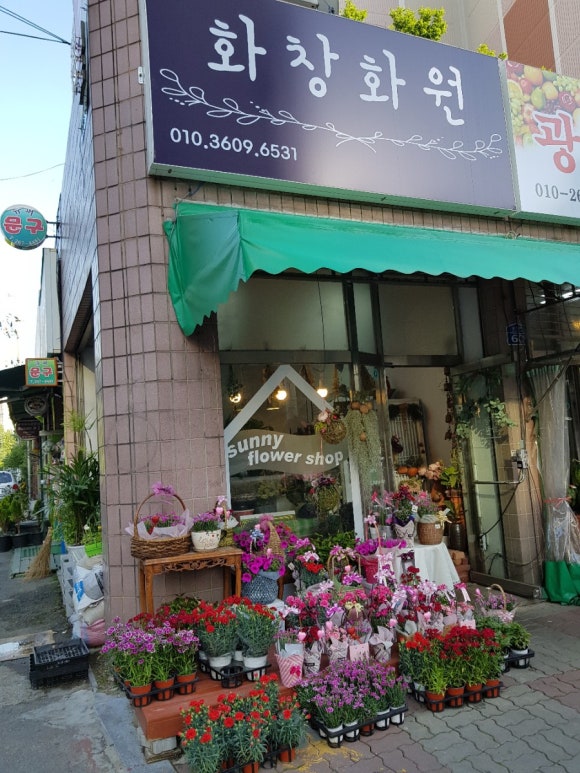 화창화원 이미지