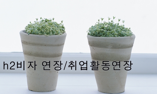 상록행정사 이미지