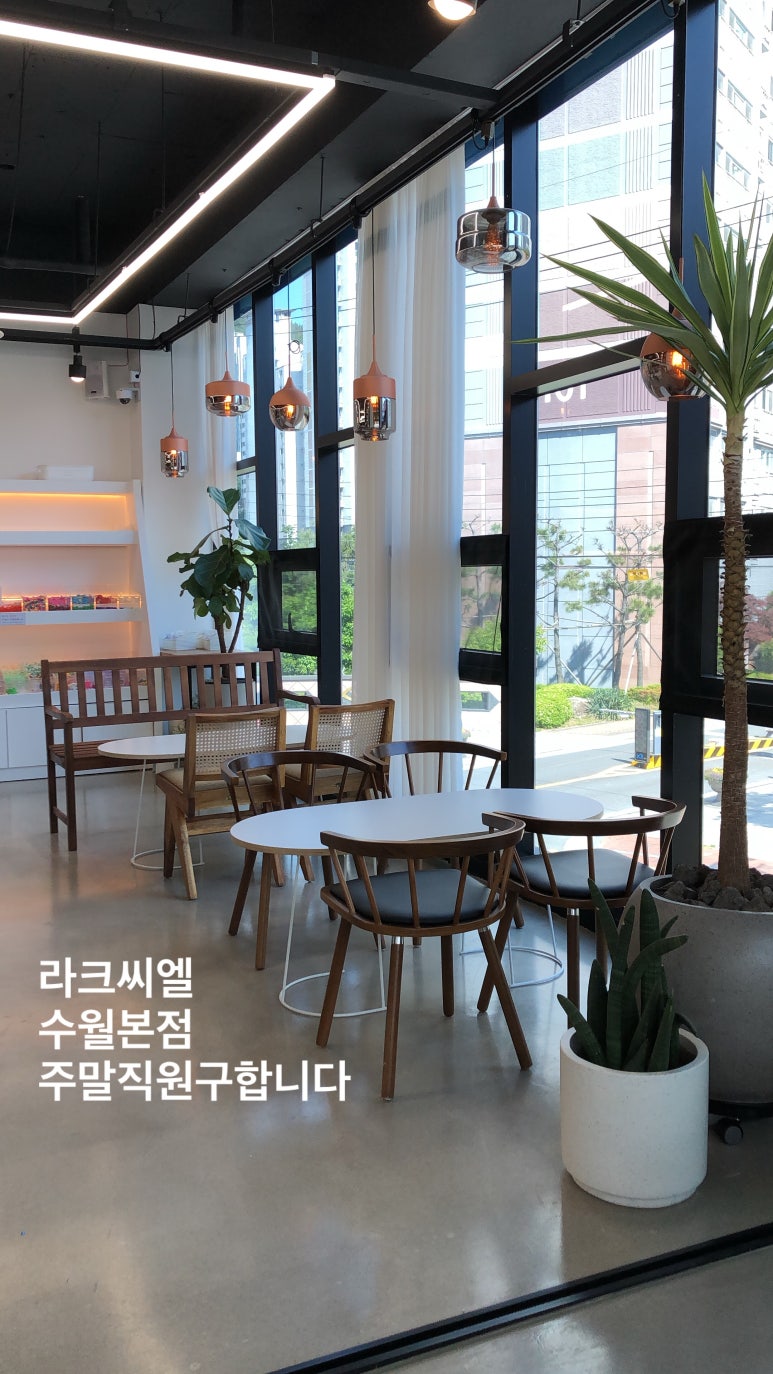 라크씨엘 이미지