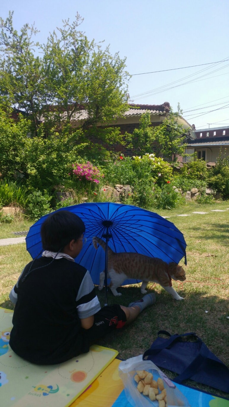 풍류민박 이미지
