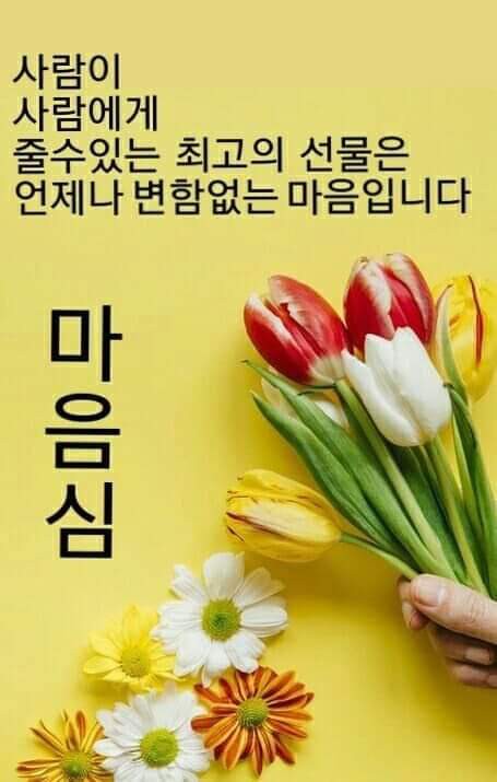 김해커먼레일 이미지