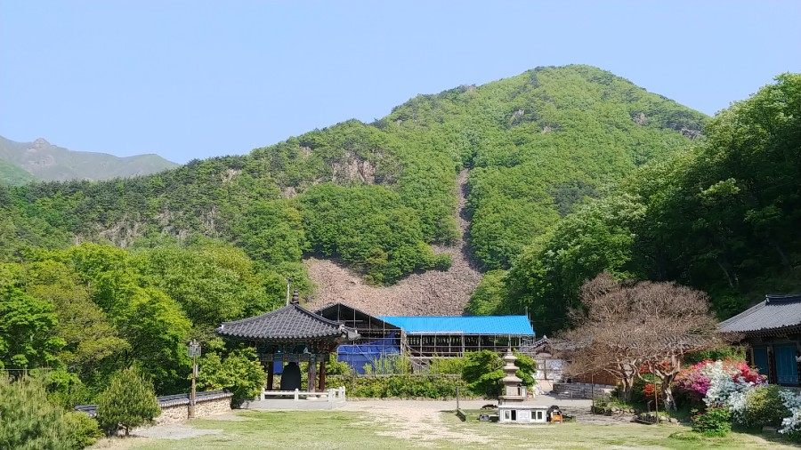 영동생선 이미지