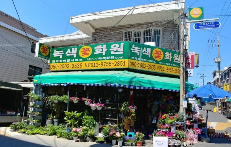 녹색꽃화원 이미지