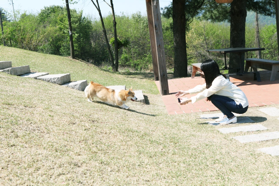 포레스트펜션민박 이미지