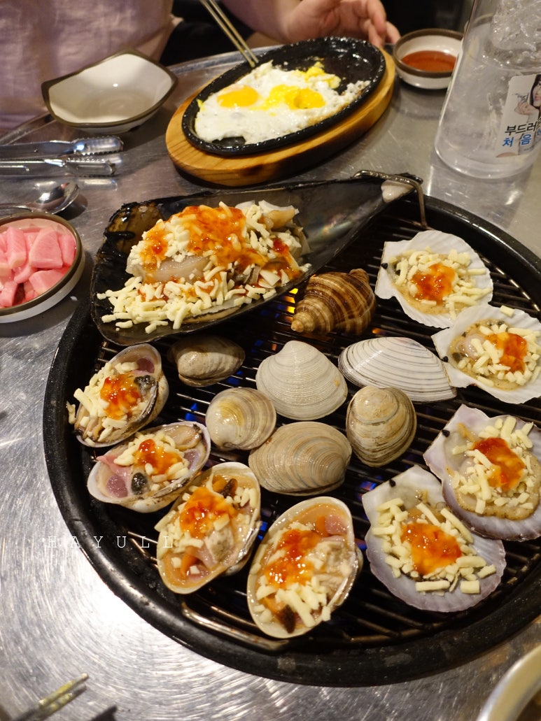 해왕조개전문 이미지