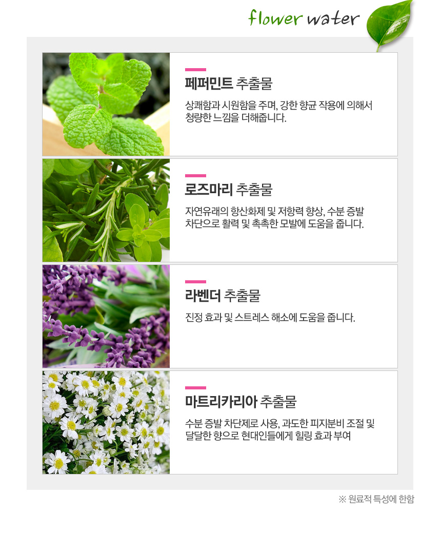 퀸즈헤어 이미지
