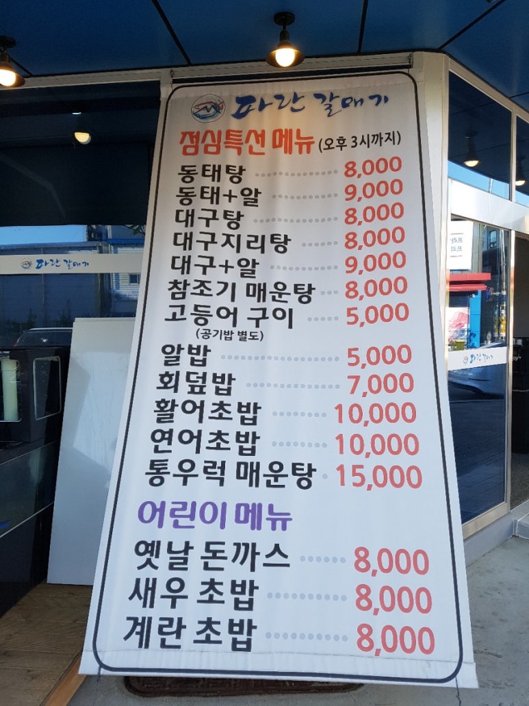 파란갈매기 이미지