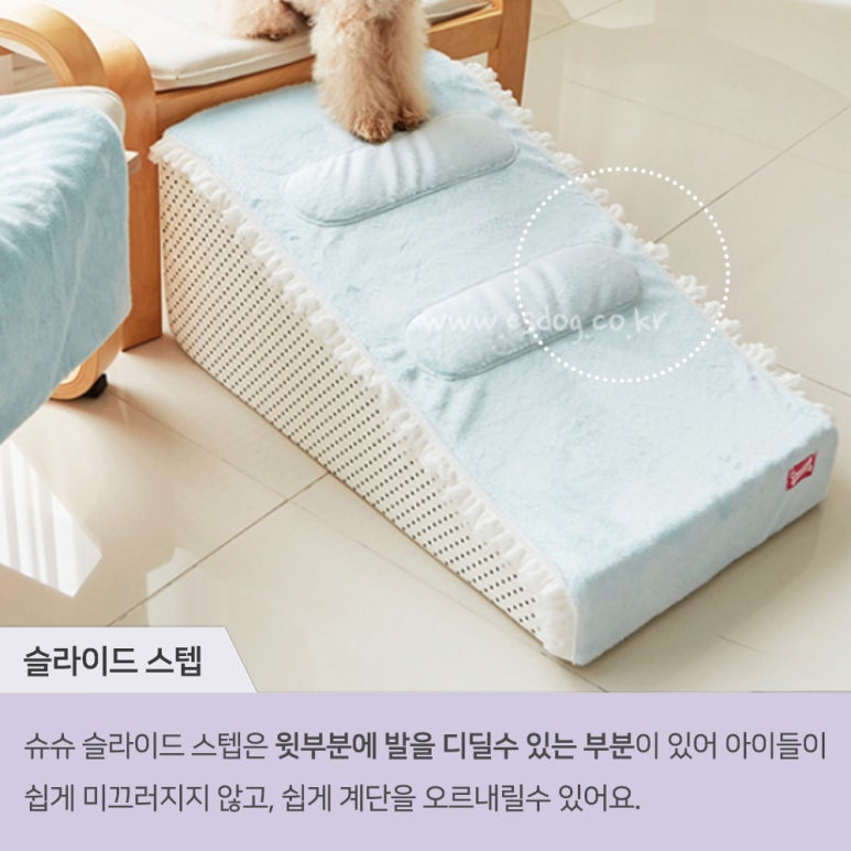 에스독하우스 이미지
