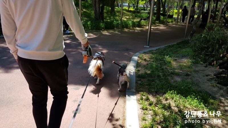 이디야커피중계 이미지