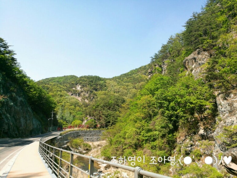 메가커피신철원점 이미지