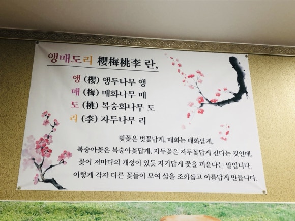 앵매도리한우 이미지