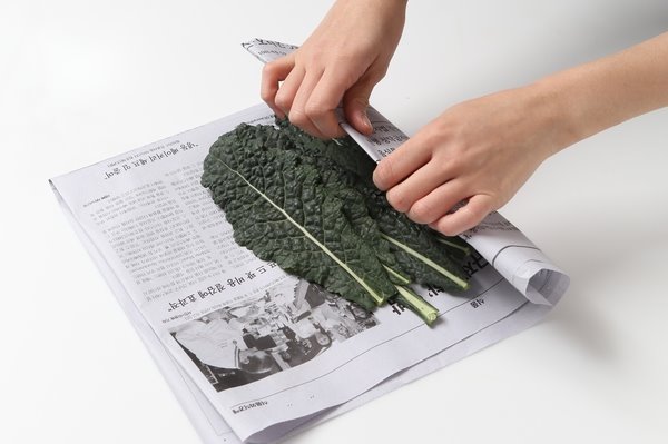 뉴그린 이미지