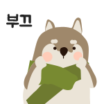 이안정보 이미지