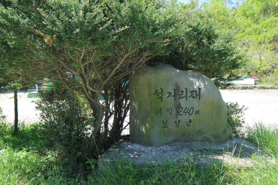 고동치 이미지