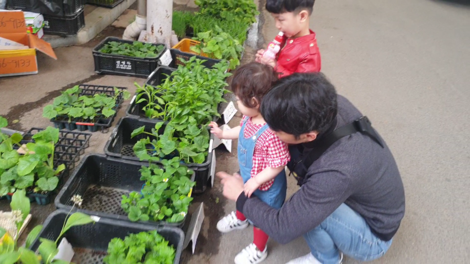 아셋(ASET) 이미지