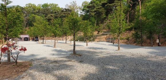 수덕 캠핑장 이미지