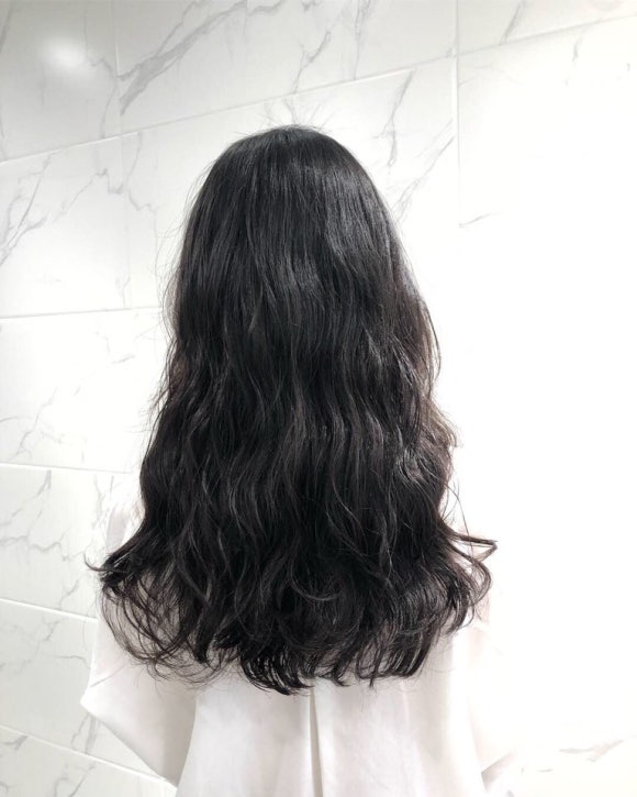 디어젤리 이미지