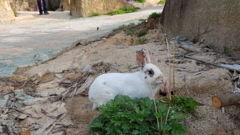 오송관광농원 이미지