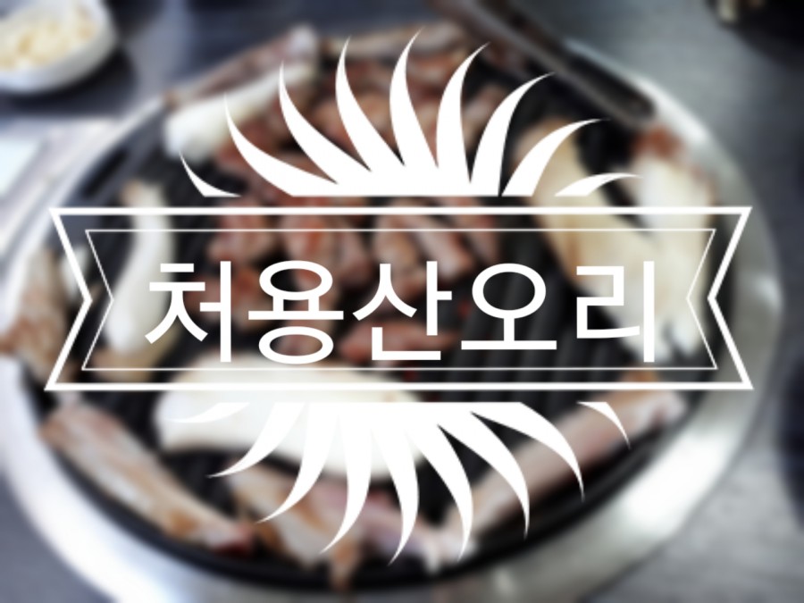 처용산오리 이미지